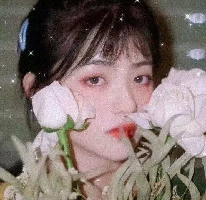 我爱，我死，我重生