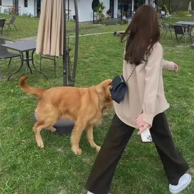 炸脖龙